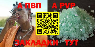 твердый Кингисепп