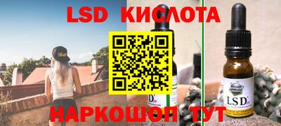 стаф Кинель
