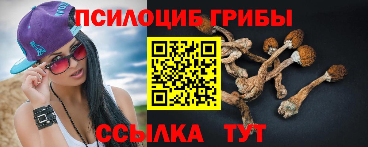 КОКАИН Ковров
